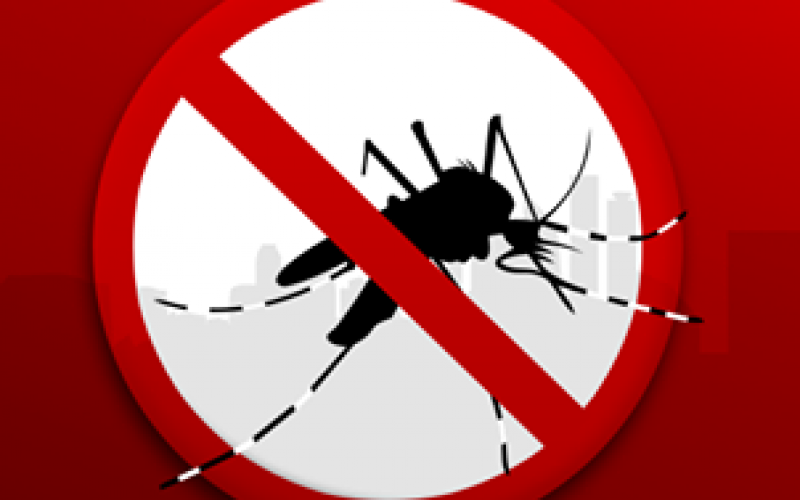Prefeitura realiza mobilização de combate ao Aedes nesta segunda-feira (13)