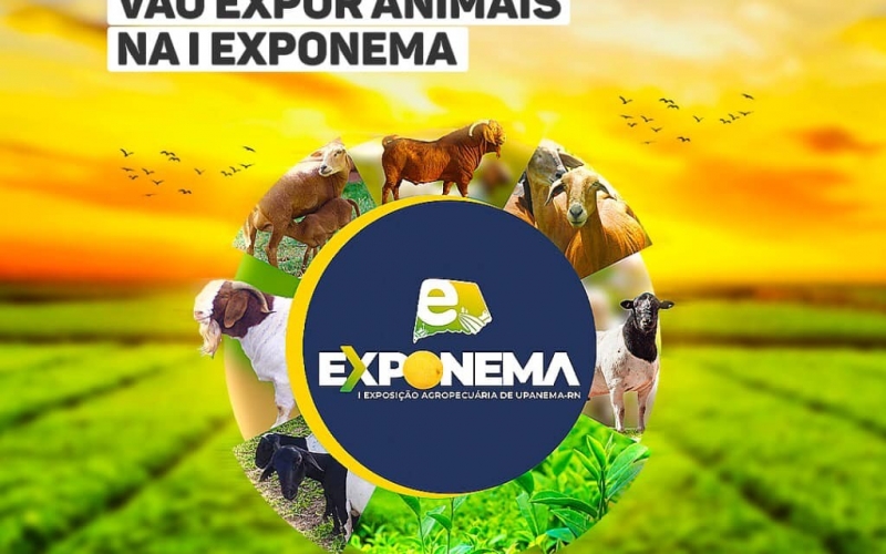 Prefeitura de Upanema abre inscrições para produtores que vão expor animais na I Exponema