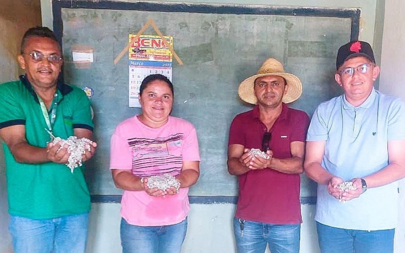 Prefeitura de Upanema e Emater iniciam distribuição de sementes de algodão
