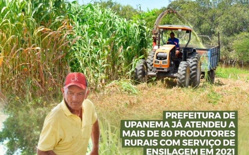 Prefeitura de Upanema já atendeu a mais de 80 produtores rurais com serviço de ensilagem em 2021