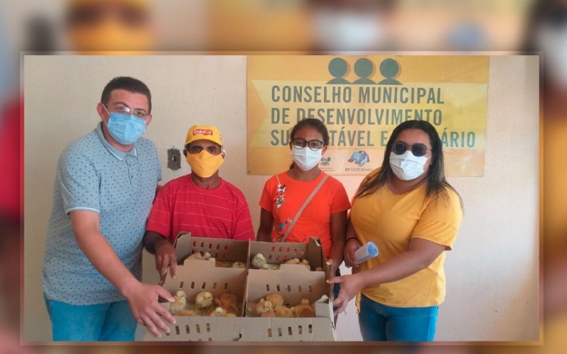 Prefeitura de Upanema realiza entrega de mais 1.100 pintos do projeto Pró-Ave Caipira