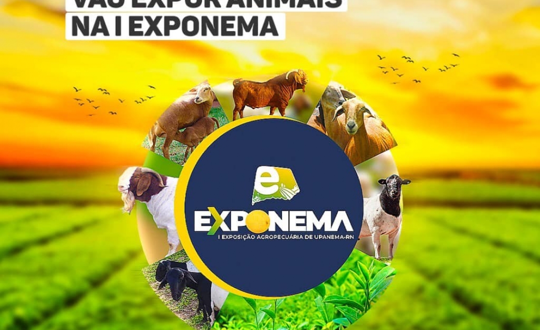Prefeitura de Upanema abre inscrições para produtores que vão expor animais n...