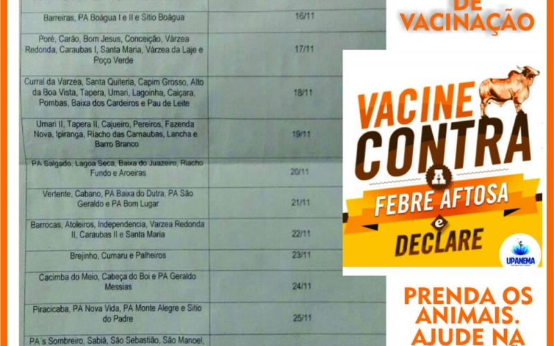 Prefeitura inicia segunda etapa de vacinação contra a aftosa nesta terça-feira (15)